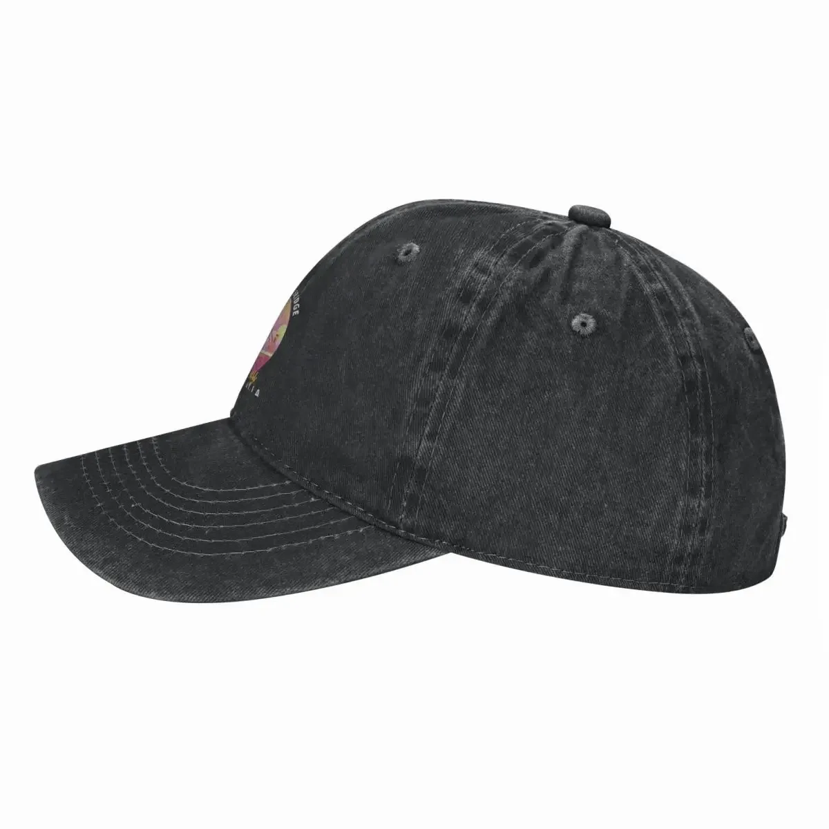 Sydney Harbour Bridge Australi - Streetwear Brand Australia review and price